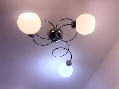 Picture 8